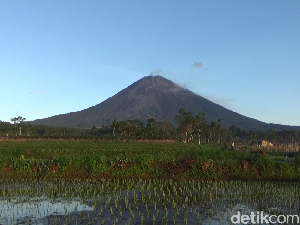 Pendakian Gunung Semeru Ditiadakan Selama PPKM Darurat Pendakian Gunung Semeru Ditiadakan Selama PPKM Darurat