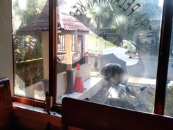 Pria yang Ngamuk Lempari Polsek Bangilan Tuban Ternyata Idap Gangguan Jiwa