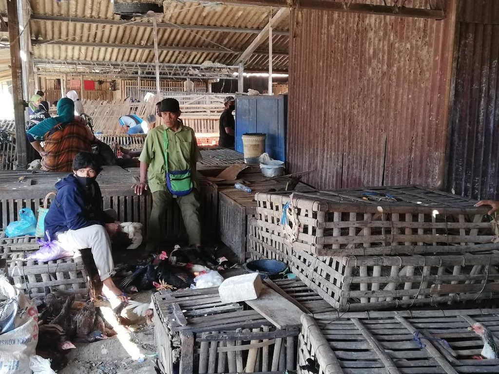 Jelang Lebaran Harga Ayam Potong Malah Turun Rp 2.000 Jelang Lebaran Harga Ayam Potong Malah Turun Rp 2.000