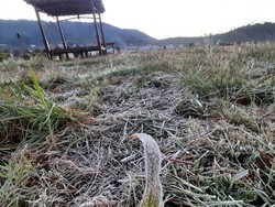 Datang Lebih Awal, Embun Es Selimuti Dataran Tinggi Dieng Pagi Ini