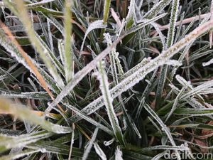 Perdana Tahun Ini, Embun Es Selimuti Komplek Candi Arjuna Dieng