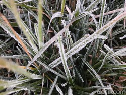 Perdana Tahun Ini, Embun Es Selimuti Komplek Candi Arjuna Dieng
