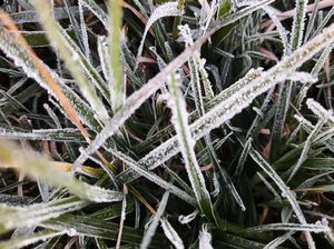 Embun Es di Dieng Muncul Lebih Awal, Ini Pesan BMKG