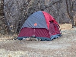 Hilang 6 Bulan di Bukit, Wanita Ini Bertahan Hidup Makan Rumput dan Air Sungai
