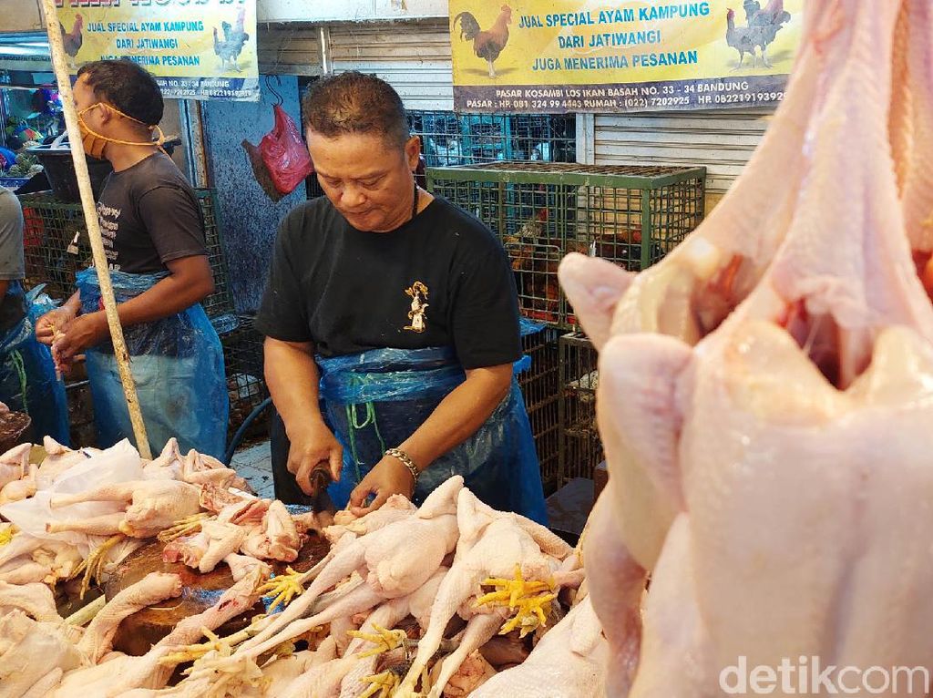 Harga Daging Ayam Broiler Stabil Hari Ini di Denpasar