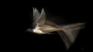 Bikin Takjub! Keindahan Alam yang Terabadikan Kamera