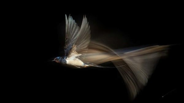 Bikin Takjub! Keindahan Alam yang Terabadikan Kamera