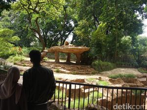 Polemik Tak Berujung Kebun Binatang Bandung Polemik Tak Berujung Kebun Binatang Bandung