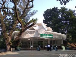 Sepinya Bandung Zoo Dihantam Pandemi, Gaji Karyawan Dipangkas