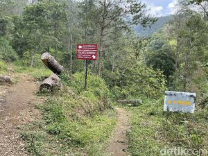 Mengenal Gunung Ungaran yang Ramah Buat Pendaki Pemula
