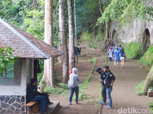 Ada Penyesuaian, Segini Harga Tiket Masuk ke Tahura Bandung Sekarang Ada Penyesuaian, Segini Harga Tiket Masuk ke Tahura Bandung Sekarang