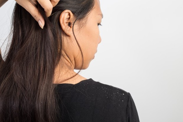 sumber : freepik sumber : freepik