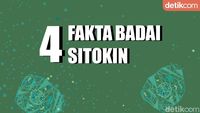4 Fakta Badai Sitokin, Respons Imun yang Banyak Dialami Pasien COVID-19