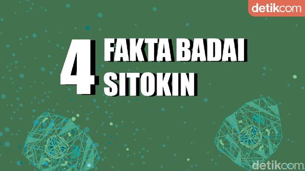 4 Fakta Badai Sitokin, Respons Imun yang Banyak Dialami Pasien COVID-19
