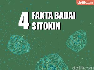4 Fakta Badai Sitokin, Respons Imun yang Banyak Dialami Pasien COVID-19