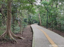 Polisi Temukan Harta Karun Kuno-Hutan Mini Jakarta Semakin Tertata