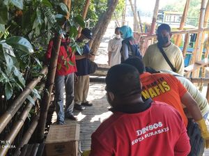 Mayat Bayi Ditemukan Tersangkut Akar di Ekowisata Mangrove Surabaya