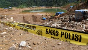Tambang Emas Ilegal di Sumbar Longsor Renggut 8 Nyawa