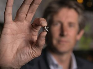 Mantap! Ajax Lebur Trofi Liga Belanda, lalu Dibagi-bagi ke Fans