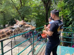 Kebun Binatang Surabaya Sepi Pengunjung Saat Hari Pertama Lebaran 2021