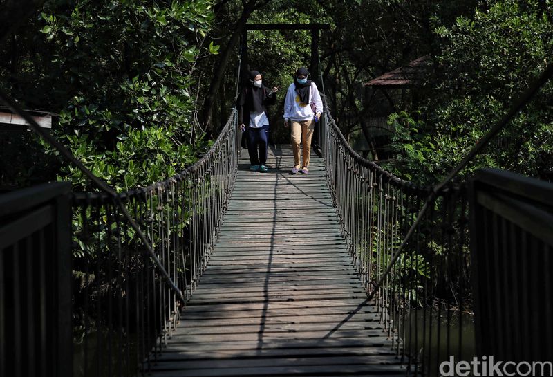 Libur Lebaran kerap dimanfaatkan masyarakat untuk berwisata bersama keluarga. Di PIK, kawasan ekowisata berbasis hutan mangrove ini cocok untuk libur Lebaran.