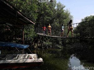 Rekomendasi Wisata Jakarta dengan Bujet Tak Sampai Rp 500 Ribu