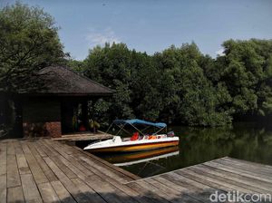 Kawasan Ekowisata Mangrove PIK: Lokasi, Harga Tiket, Ngapain Aja di Sana? Kawasan Ekowisata Mangrove PIK: Lokasi, Harga Tiket, Ngapain Aja di Sana?