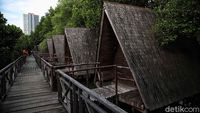 Menjelajah Hutan Mangrove di Pesisir Ibu Kota