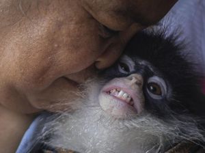 Kisah Coki, Si Kekah dari Natuna