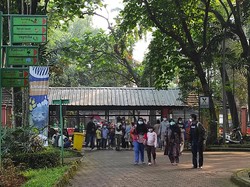 2.460 Orang Kunjungi Ragunan Usai Dibuka Pagi Ini
