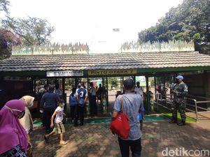 Total Ada 20.174 Pengunjung Ragunan di Lebaran Hari Kedua