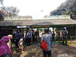 Total Ada 20.174 Pengunjung Ragunan di Lebaran Hari Kedua