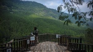Siap-siap! Kawasan Wisata Lembang Bakal Dibuka Lagi Usai Lebaran