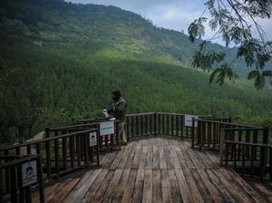 Hore! Wisata di Lembang Bandung Barat Sudah Kembali Dibuka