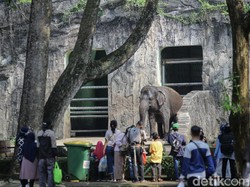 Jakarta PPKM Level 3, Kapan Tempat Wisata Dibuka?