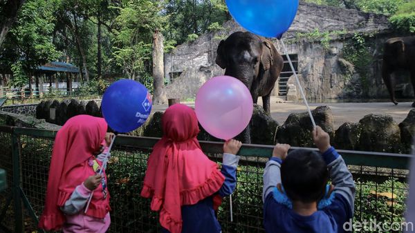 Dibuka Lagi, Wisata Ragunan Diserbu Warga Jakarta