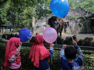 Dibuka Lagi, Wisata Ragunan Diserbu Warga Jakarta
