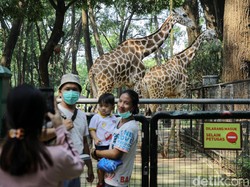 Ini Empat Strategi Pemerintah untuk Atasi Penularan Omicron