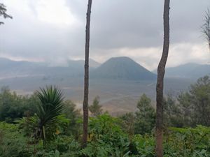 4 Titik di Jalur Menuju Gunung Bromo yang Perlu Diwaspadai