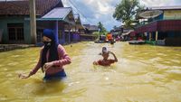 Banjir Setinggi Pinggang Rendam Tanah Bumbu Kalimantan Selatan