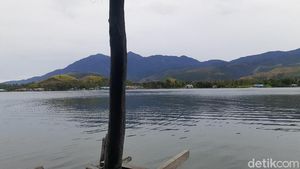 Foto Kayu Ajaib dari Papua, Tahan Ratusan Tahun Terendam Air