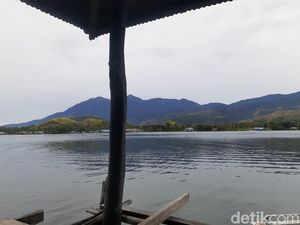 Ini Kayu dari Papua yang Tahan Ratusan Tahun Terendam Air