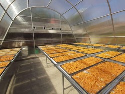 Solar Dryer Dome Bantu Petani Tingkatkan Kualitas Produk Hortikultura