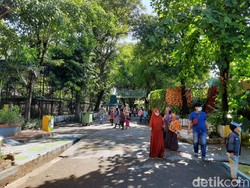 Hari Ini Puncak Libur Lebaran 2021, Pengunjung KBS Diprediksi Tembus 5 Ribu