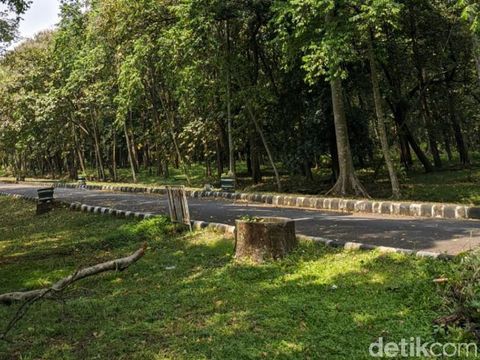 Tempat-tempat wisata di Kabupaten Pasuruan buka selama libur Lebaran. Salah satu yang layak dikunjungi Kebun Raya Purwodadi.