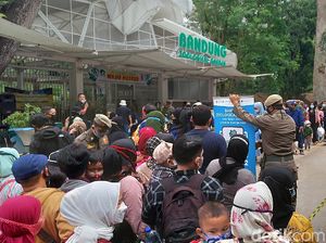 Utang Rp 13,5 M Bikin Kebun Binatang Bandung Terancam Disegel Utang Rp 13,5 M Bikin Kebun Binatang Bandung Terancam Disegel