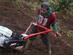 Jadi Sektor Unggulan, Bank BRI Bina UMKM Pertanian di Bandung