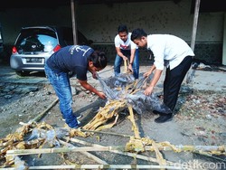 Kemenhub Data Penerbangan Balon Udara Masa Idul Fitri, Ini Hasilnya