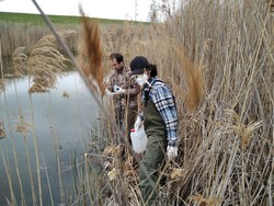 Kisah Mahasiswa RI Berkuliah di Ceko: Negara Aman bagi Para Pelajar