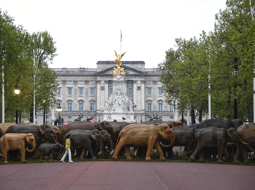 Ketika 100 Patung Gajah Konvoi di Depan Istana Buckingham